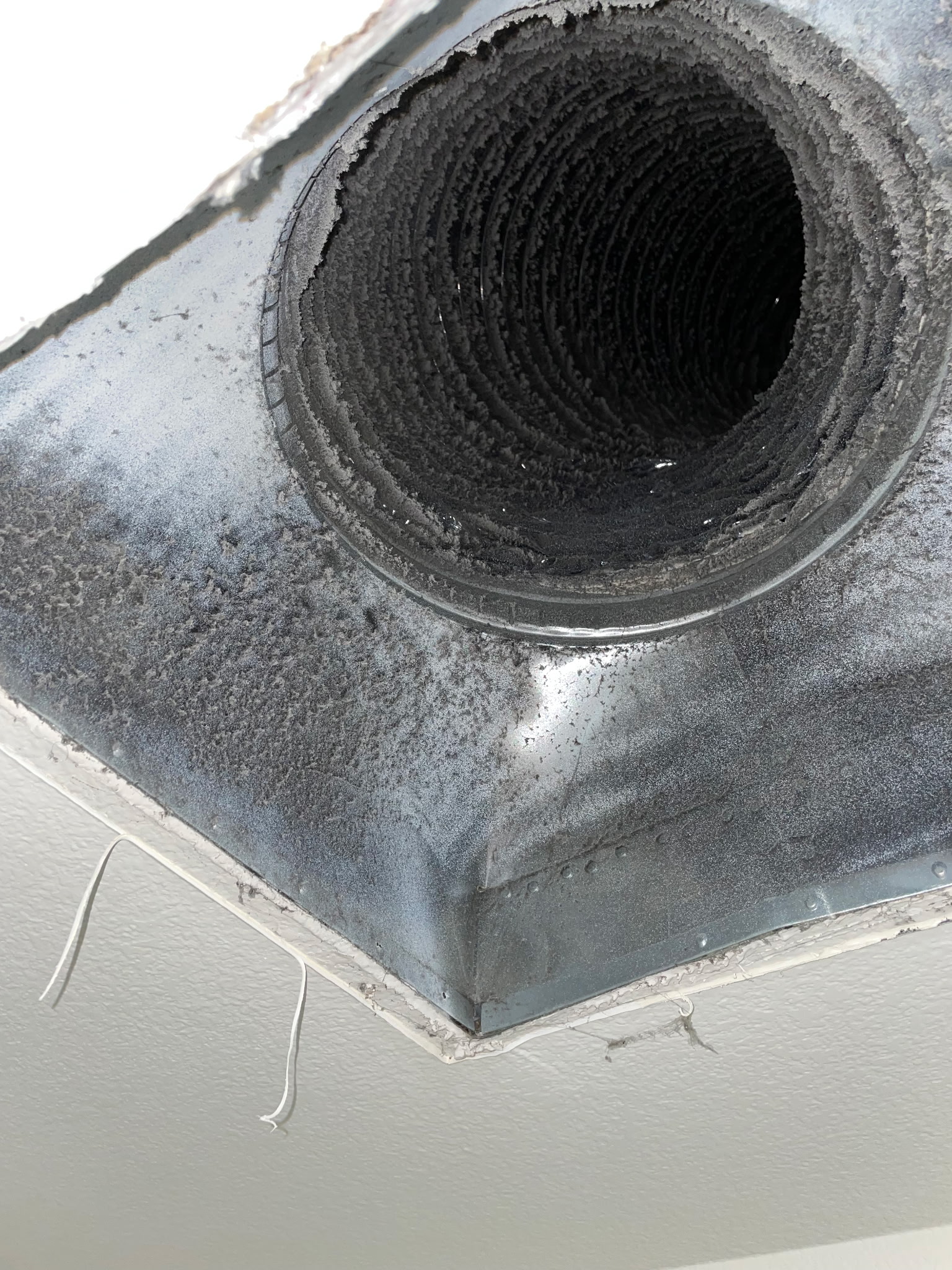 Home 1708651701294923682